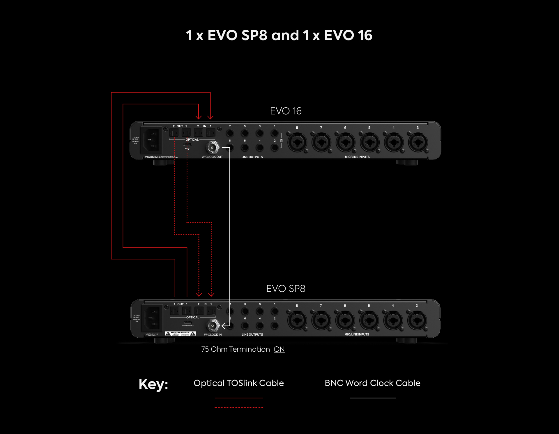 EVO_SP8_%2B_EVO_16.jpg