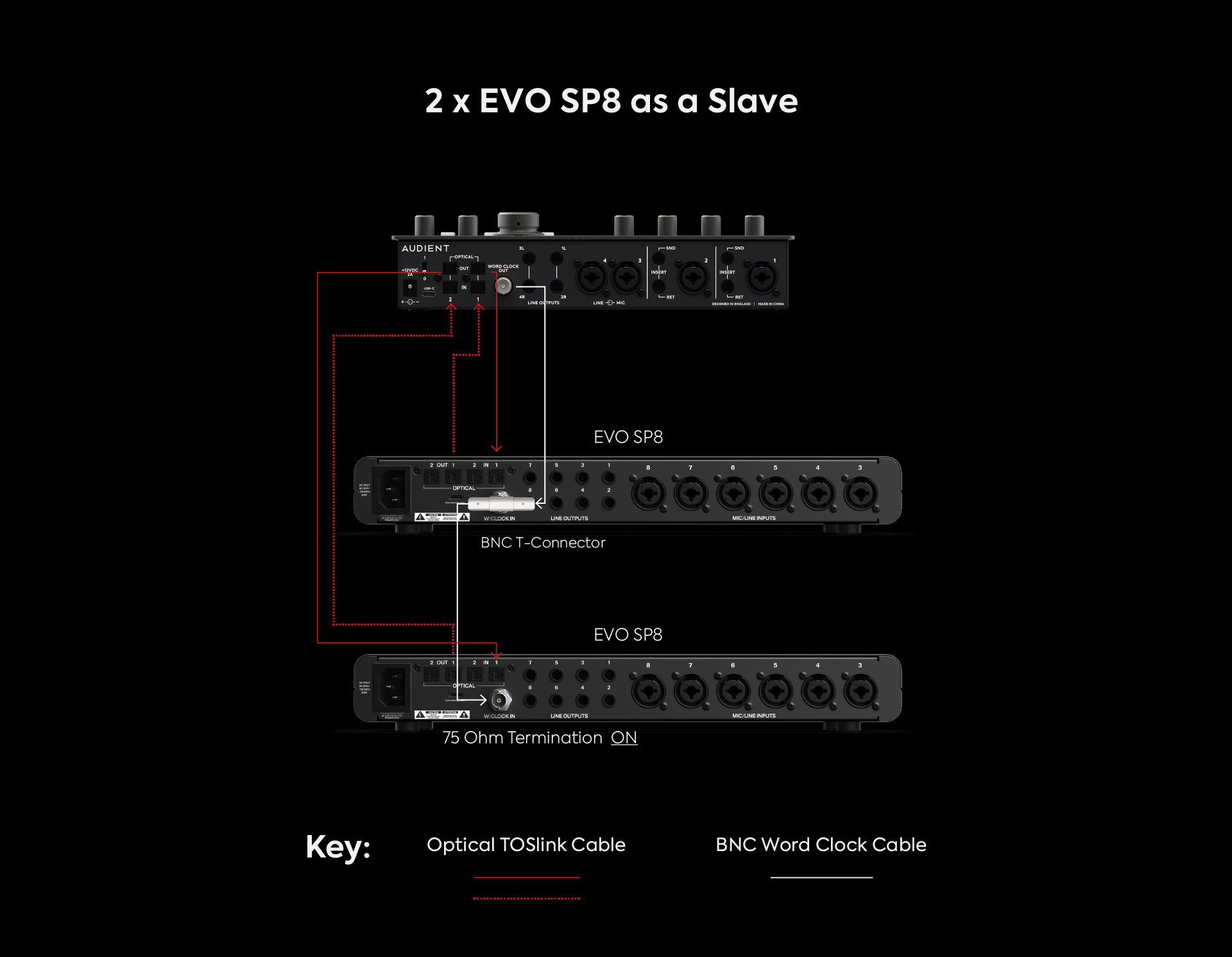 2_x_EVO_SP8_as_a_Slave.jpg