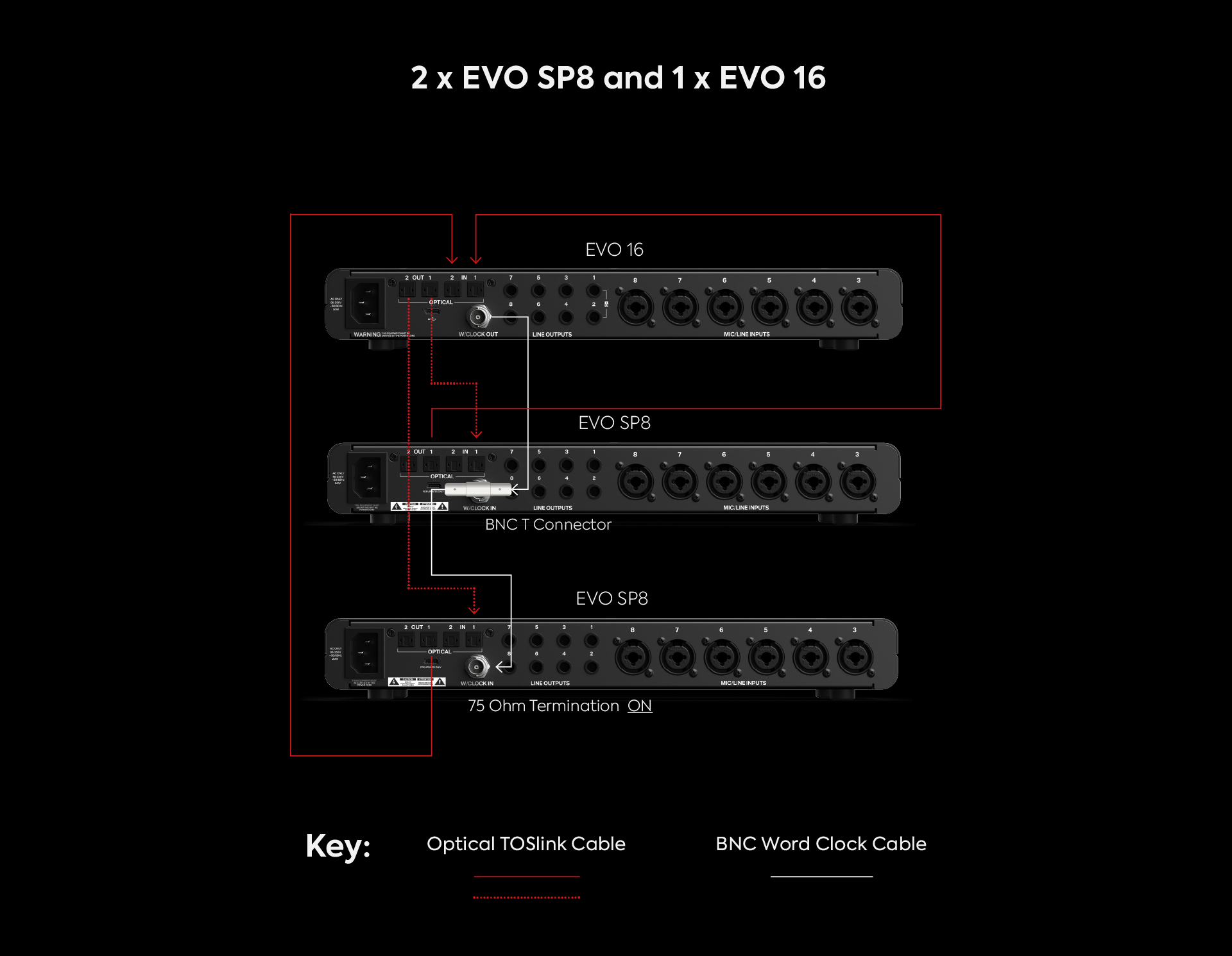 2_x_EVO_SP8_%2B_EVO_16.jpg
