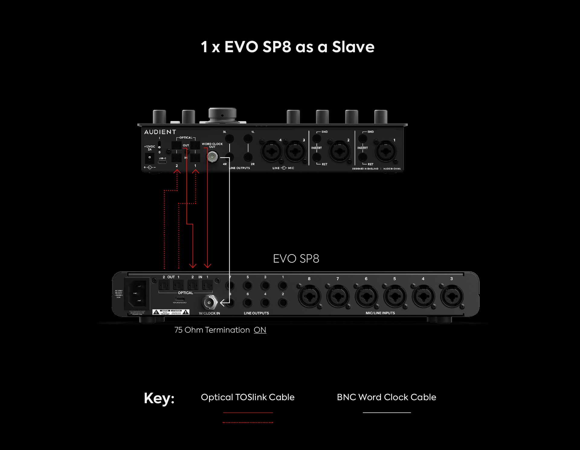 1_x_EVO_SP8_as_a_Slave.jpg
